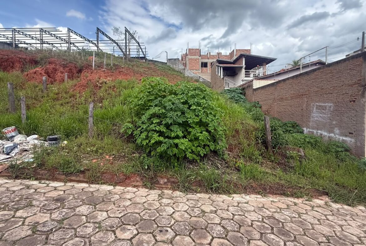 Imagem 01 do lote à venda em Cambuí/MG — cód. 2556