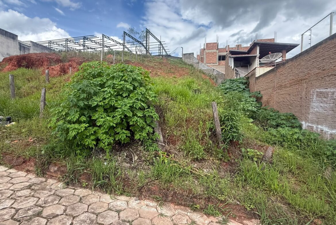 Imagem 02 do lote à venda em Cambuí/MG — cód. 2556