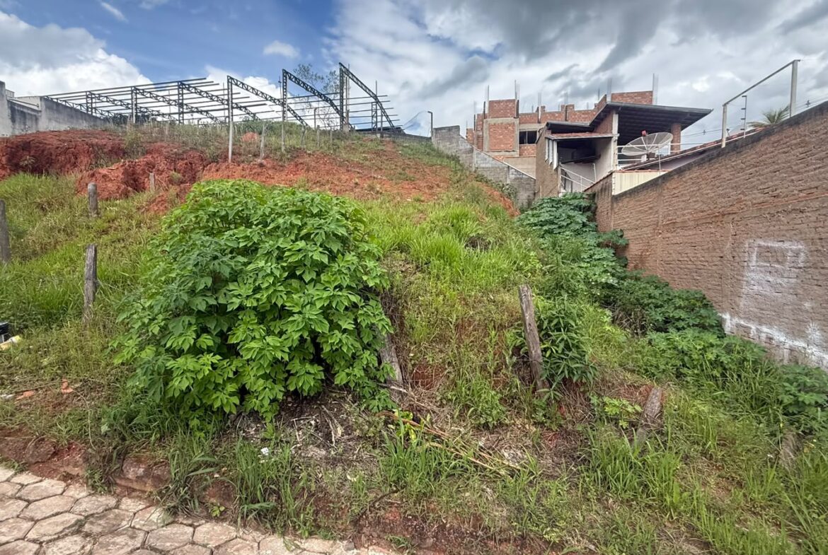Imagem 03 do lote à venda em Cambuí/MG — cód. 2556