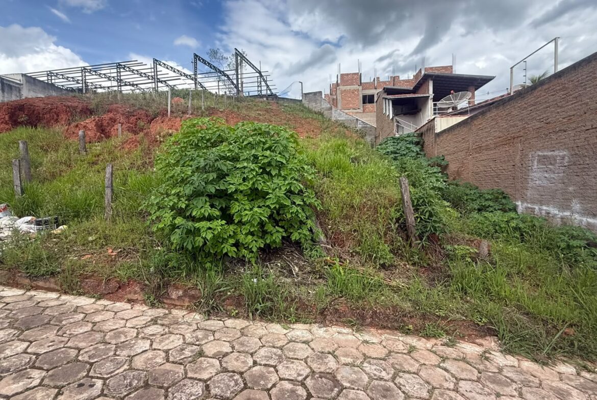 Imagem 04 do lote à venda em Cambuí/MG — cód. 2556